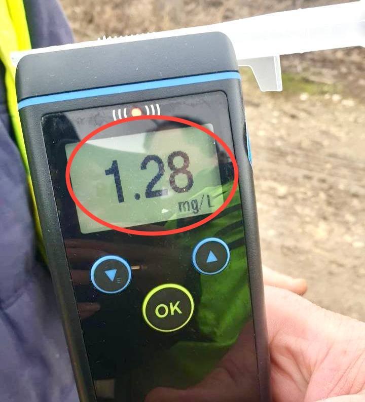 FOTO // 3 căruțași au fost amendați, după ce au fost depistați în stare de ebrietate