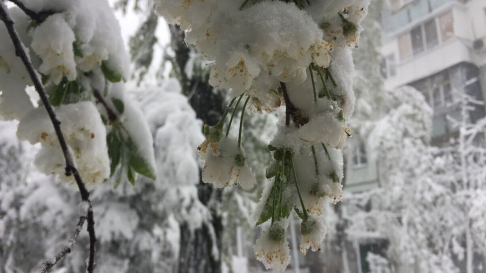 FLASH // Ninsori și lapoviță în aprilie! Ce spun meteorologii