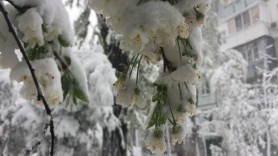 FLASH // Ninsori și lapoviță în aprilie! Ce spun meteorologii