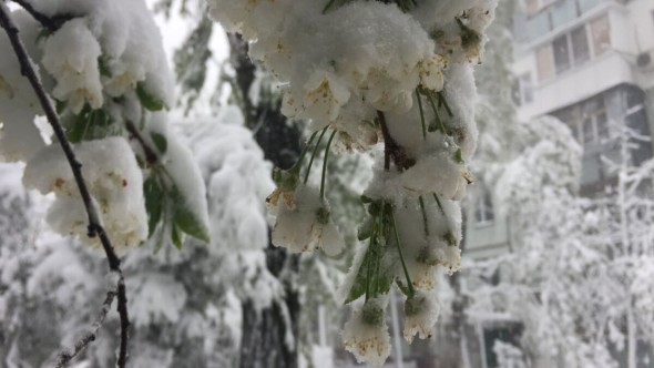 FLASH // Ninsori și lapoviță în aprilie! Ce spun meteorologii
