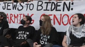 Actriță cunoscută, arestată pe o stradă din Manhattan. Protesta împotriva războiului din Israel