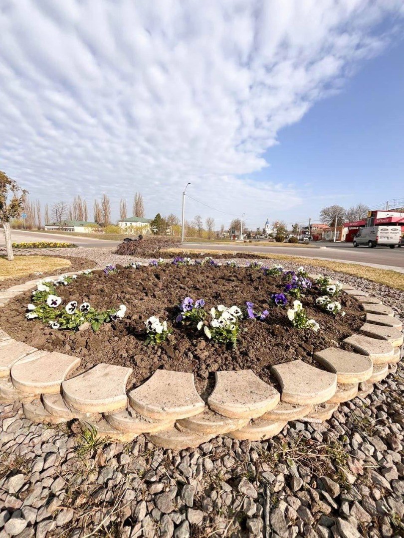 FOTO // Atmosferă de primăvară la Orhei - mii de flori multicolore plantate în oraș de echipa lui Șor