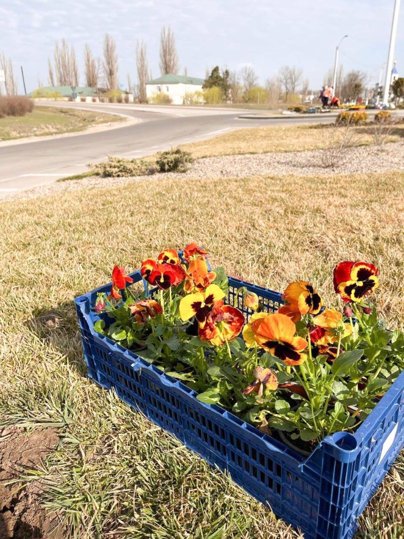 FOTO // Atmosferă de primăvară la Orhei - mii de flori multicolore plantate în oraș de echipa lui Șor
