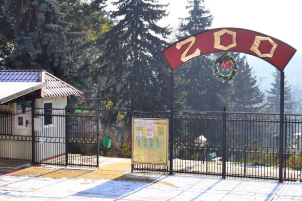 De Ziua Copilului, la Grădina Zoo intrarea va fi liberă pentru toții copiii