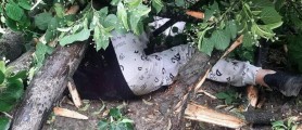 ALERTĂ în Chișinău: O copilă, găsită moartă sub un copac doborât de furtună