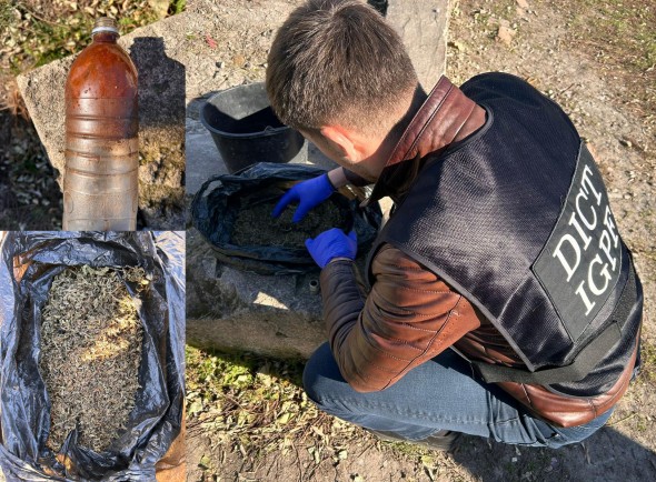 FLASH // Grupare criminală, specializată în cultivarea și distribuirea substanțelor narcotice, destructurată în nordul țării
