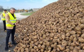 Moldova în fața unei crize a zahărului? Ce ar putea preveni lipsa și scumpirile