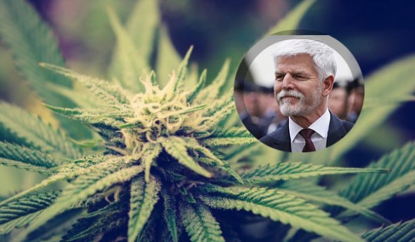 O țară din Europa a legalizat marijuana: cultivarea este permisă acasă