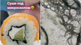 Sushi sub microscop: Paraziți care pătrund în intestine și declanșează haos