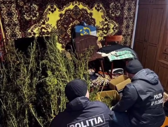 Percheziții în Florești: Poliția ridică droguri și arme ilegale în trei localități