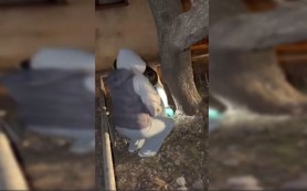 Razii antidrog la Botanica: 8 persoane, documentate de polițiști. O tânără, reținută în flagrant ca „curier” pentru un magazin online de droguri