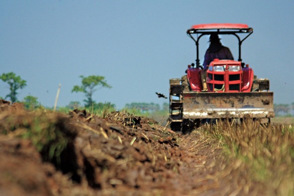 Procedura de rambursare a TVA pentru producătorii agricoli a fost simplificată prin introducerea unui plafon fix