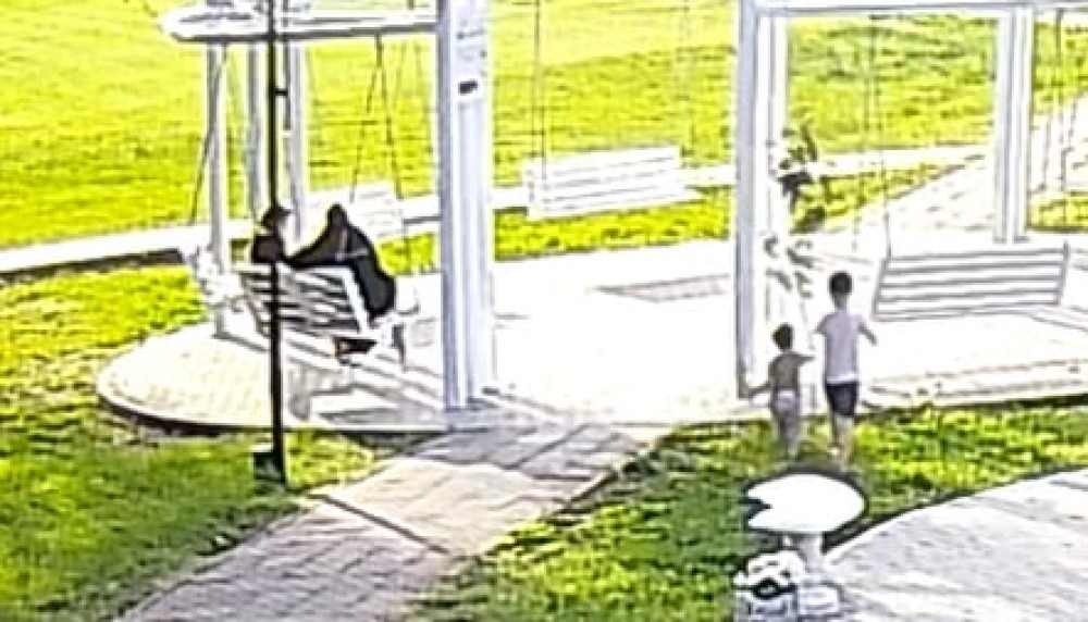 Copac de sakura din Parcul Sculeni, distrus de un copil în timp ce părinții priveau indiferenți