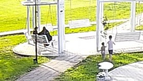 Copac de sakura din Parcul Sculeni, distrus de un copil în timp ce părinții priveau indiferenți
