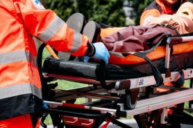 Peste 100 mușcături de animale într-o săptămână: bilanțul îngrijorător al ambulanței de la începutul verii