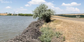Tragedie la Căușeni. Un copil a murit după ce a mers la scăldat