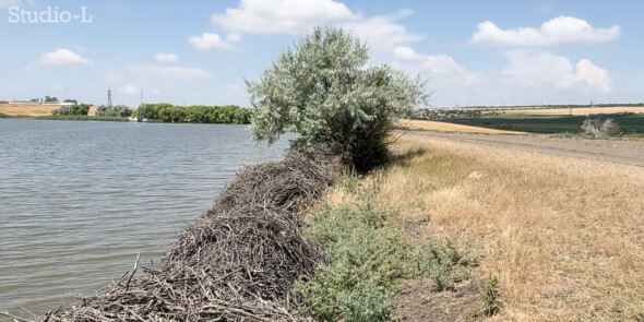 Tragedie la Căușeni. Un copil a murit după ce a mers la scăldat