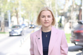 Irina Vlah: Instituirea salariilor solidarităţii sociale – o necesitate stringentă